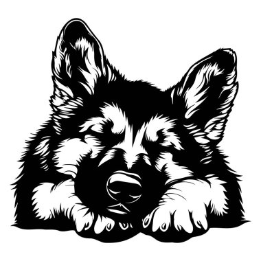 This artistic illustration features a sleeping dog's head in black and white, emphasizing fluffy ears and a relaxed expression, perfect for pet lovers.