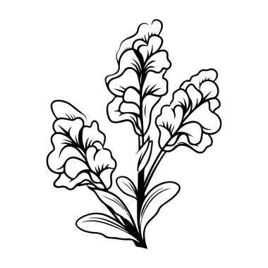 This elegant black and white illustration features a beautiful flowering plant with intricate details in its petals and leaves, perfect for various artistic designs.