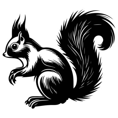 This artistic and detailed monochrome illustration features a curious squirrel with a bushy tail, ideal for nature-themed projects or eco-friendly designs.