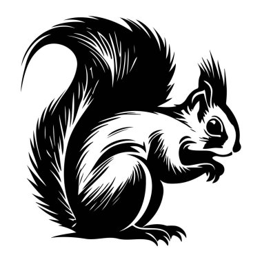 This detailed illustration features a playful squirrel, showcasing its fluffy tail and intricate fur patterns in a captivating black and white design.