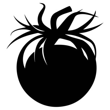This striking black silhouette of a tomato features an artistic leaf design, perfect for use in creative projects, graphics, and branding.