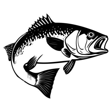 A striking black and white illustration of a bass fish, showcasing its unique features and intricate detailing, perfect for art and design.