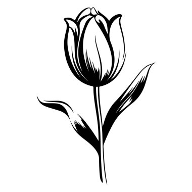 This elegant black and white illustration of a tulip showcases the beauty of nature. Perfect for use in floral designs and decorations.