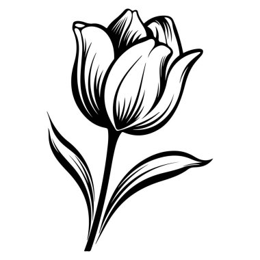A stunning black and white illustration of a tulip flower, showcasing its delicate petals and leaves, perfect for floral and artistic inspirations.