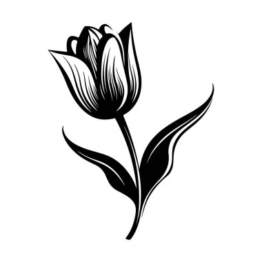 This elegant black and white illustration features a tulip with graceful leaves and petals, perfect for artistic projects and design needs.