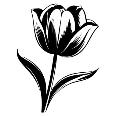 This elegant black and white illustration showcases a tulip flower with intricate details in its petals and leaves, perfect for design projects.