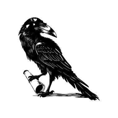 A striking black raven stands elegantly, holding a scroll in its beak. This artistic illustration showcases intricate feather details and classic ink style, perfect for themes of mystery and folklore.