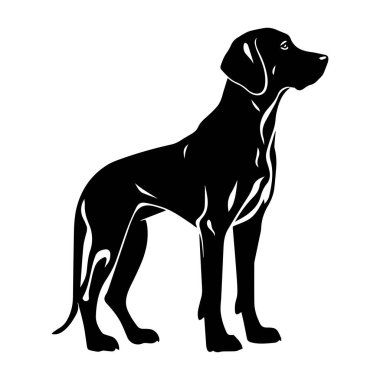 A stunning silhouette of a black dog standing confidently against a clean white backdrop. This captivating image symbolizes loyalty and grace.