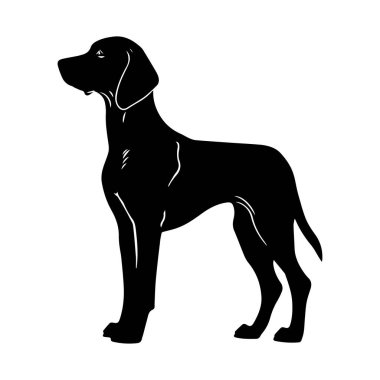 A striking black silhouette of a standing dog in profile, showcasing the elegant posture and distinct shape of this beloved companion.