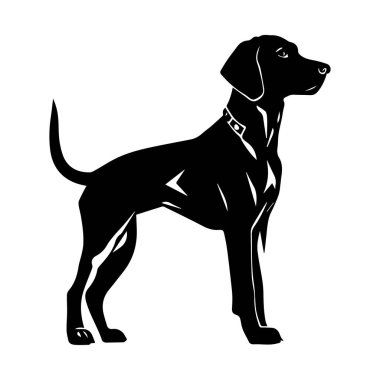 This image features a sleek black silhouette of a standing dog with a collar, perfect for pet-themed graphics, logos, and artistic projects.
