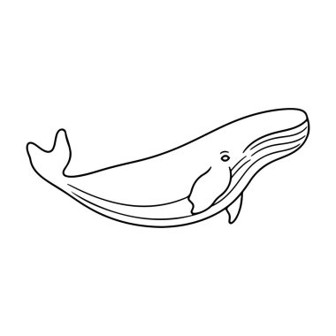 A stunning line art illustration of a whale gliding elegantly through the ocean. This artwork captures the serene beauty of marine life.