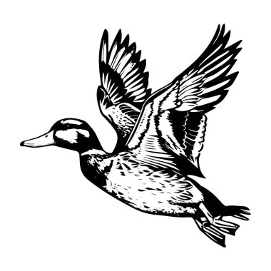 This elegant illustration showcases a flying duck in silhouette, emphasizing the beauty of nature and the freedom of flight.