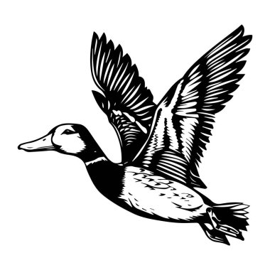 Captivating black and white illustration of a duck in mid-flight, showcasing its wings and graceful body in a serene and natural setting.