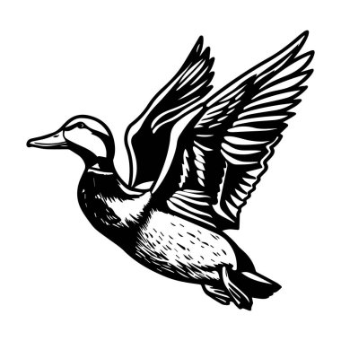 This striking illustration captures a duck flying gracefully with detailed wings, representing freedom and elegance in nature's beauty.