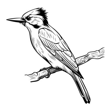 This hand-drawn illustration features a bird perched on a branch, showcasing intricate details in a black and white artistic style. Perfect for nature themes.