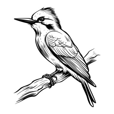 This artwork showcases a meticulously crafted black and white illustration of a bird perched elegantly on a branch, highlighting intricate feather details.