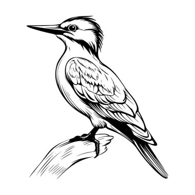 This stunning line art features a bird perched gracefully on a branch, capturing the delicate beauty of its feathers and form. Perfect for nature lovers.