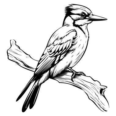 This intricate black and white illustration features a bird perched gracefully on a branch, showcasing detailed feather patterns and an elegant posture.