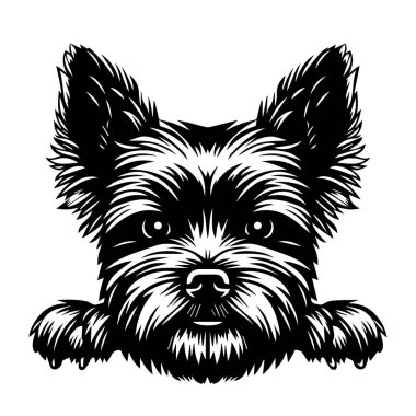 This artistic black and white illustration captures the face of a dog with intricate fur details and an expressive character, perfect for various designs.
