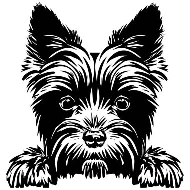 This striking black and white illustration features a small dog with rich fur and expressive eyes, perfect for various creative projects and decorations.