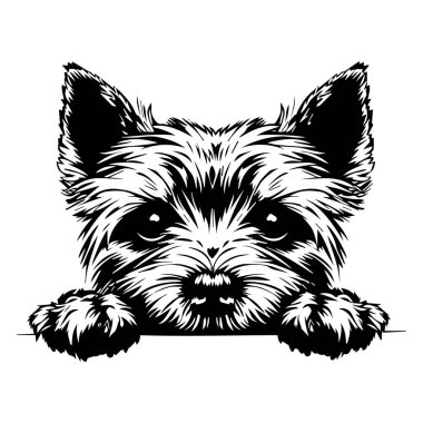 This charming illustration features a cute Yorkshire Terrier with an expressive face and playful demeanor, perfect for pet lovers and animal enthusiasts.