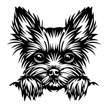 An adorable illustration of a Yorkshire Terrier dog showcasing detailed features and expressive eyes in a charming black and white design.