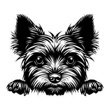 A charming line art illustration of a cute dog with furry texture peeking over a surface, showcasing playful expression and inviting demeanor.
