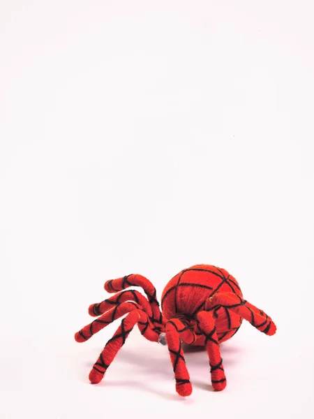 Pavouk, panenka — Stock fotografie
