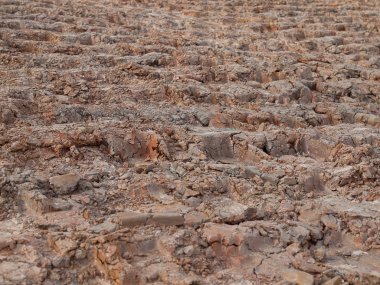 Toprak, ekili kir, Dünya