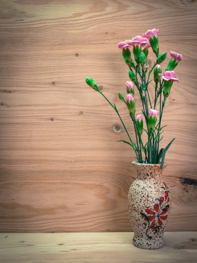 pembe karanfil çiçek