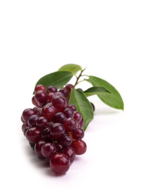 Kırmızı üzüm kadar kapatın 