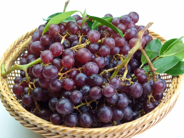 Закройте красный виноград листьями — стоковое фото