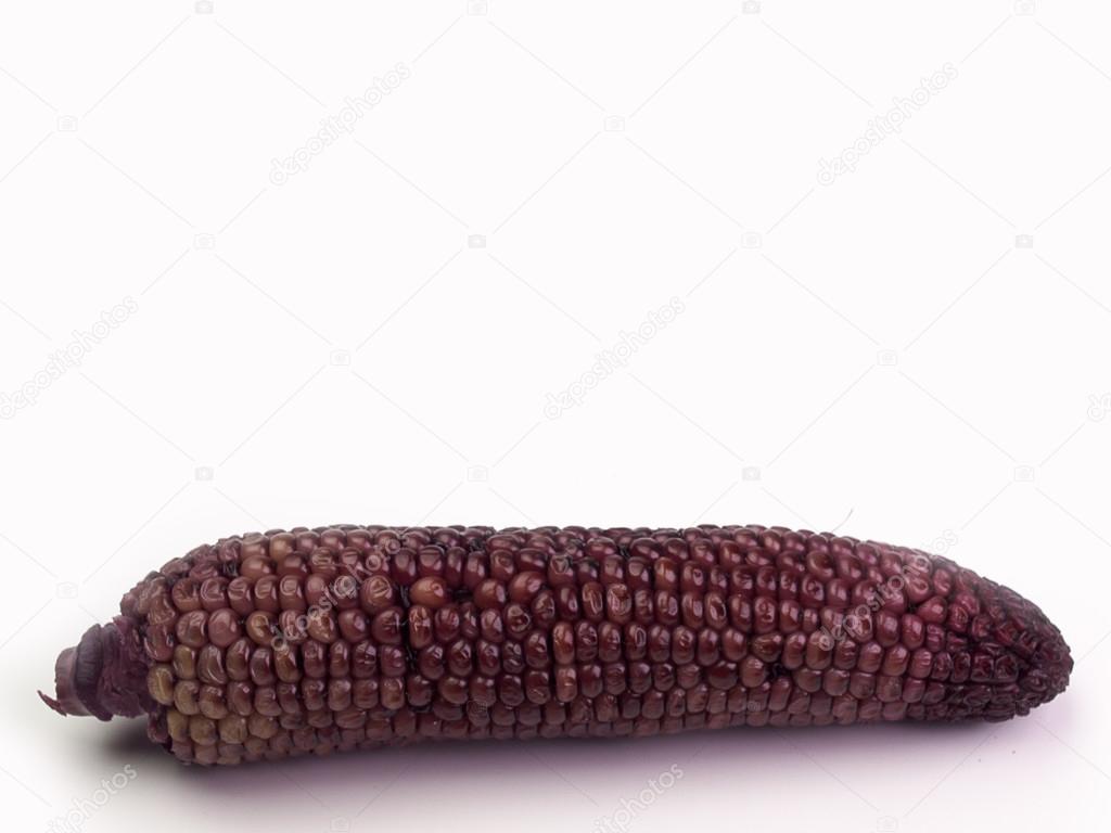 Fresh purple organic corn