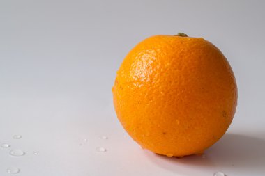 Turuncu, meyve narenciye meyve aile popüler.