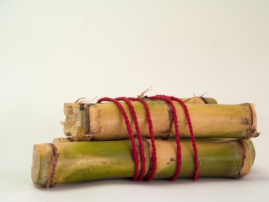 Şeker kamışı, şeker kamışı çok farklı olan