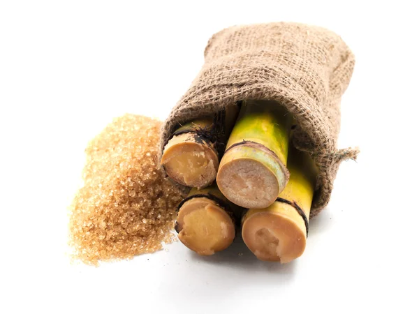 Сахарный тростник, сахар, используется в приготовлении пищи — стоковое фото