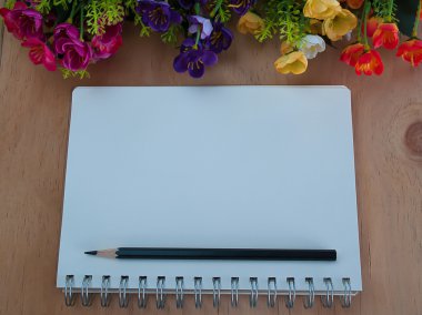 Günlüğü ve kalem masaya koy