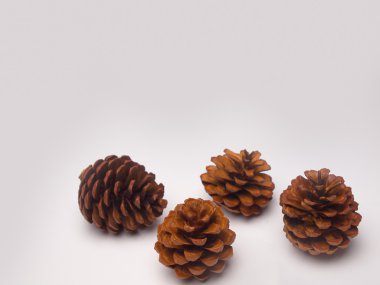 Noel kutlamaları, tatil sezonu.