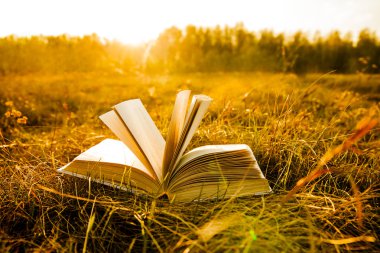 sonbahar alanında açık kitap 