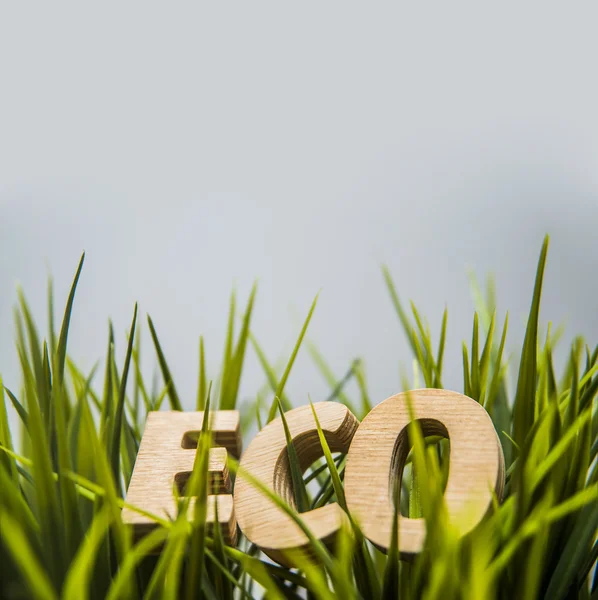 Eco woord van houten Letters — Stockfoto