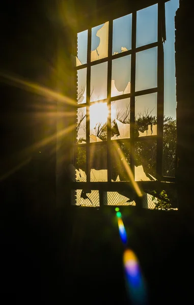 ウィンドウを通して輝く太陽 — ストック写真