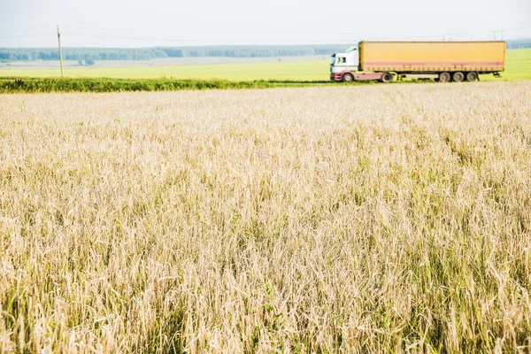 Camion sur route rurale — Photo