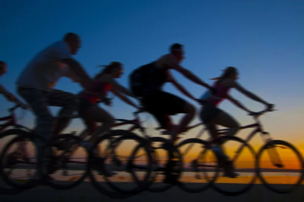 Sportliche Firmenfreunde auf Fahrrädern — Stockfoto