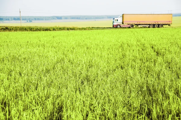 Truckkörning på en lantlig väg. — Stockfoto