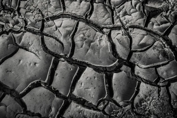 Terreno con terreno asciutto e nero — Foto Stock