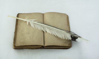 tüy ile açık kitap