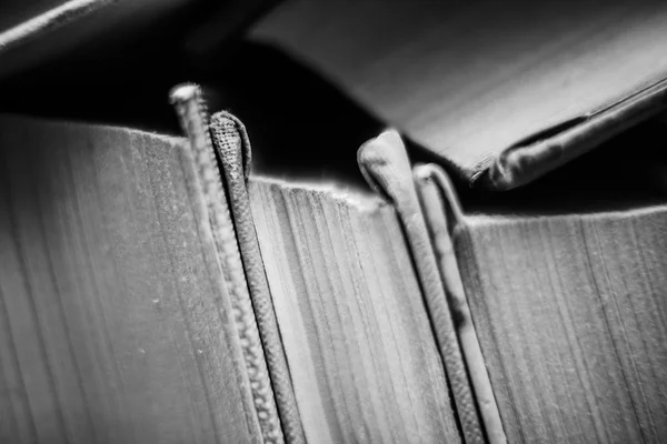 Стопка книг в лабрадоре — стоковое фото