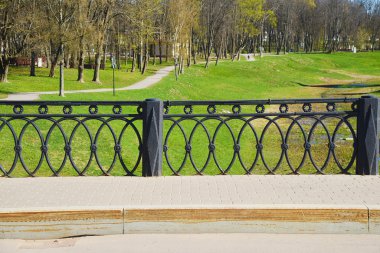 Siyah metal yuvarlak desen çit 