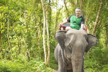  Turizm Tayland jungle binen. Chiang mai, yeşil yaz ormandaki yabani bir hayvan adam 