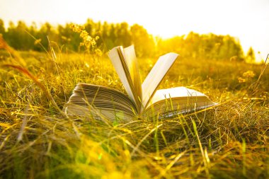 sonbahar alanında açık kitap 